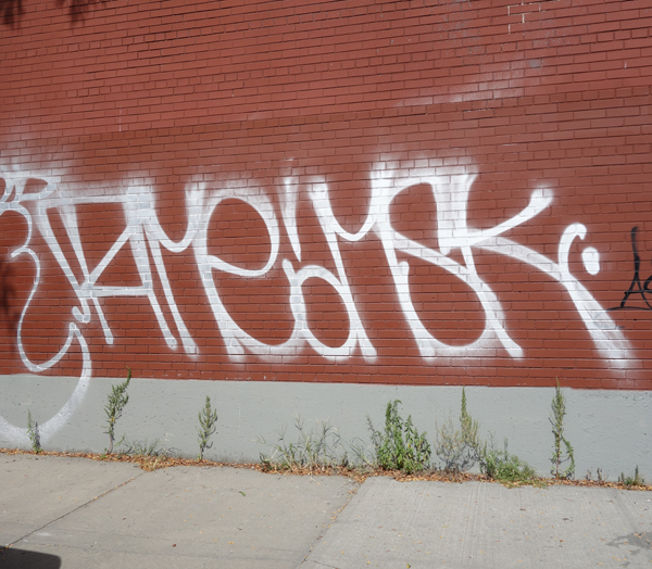 Carousel Image number 8